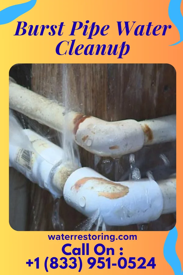 Burst Pipe Water Cleanup in Bradner, OH