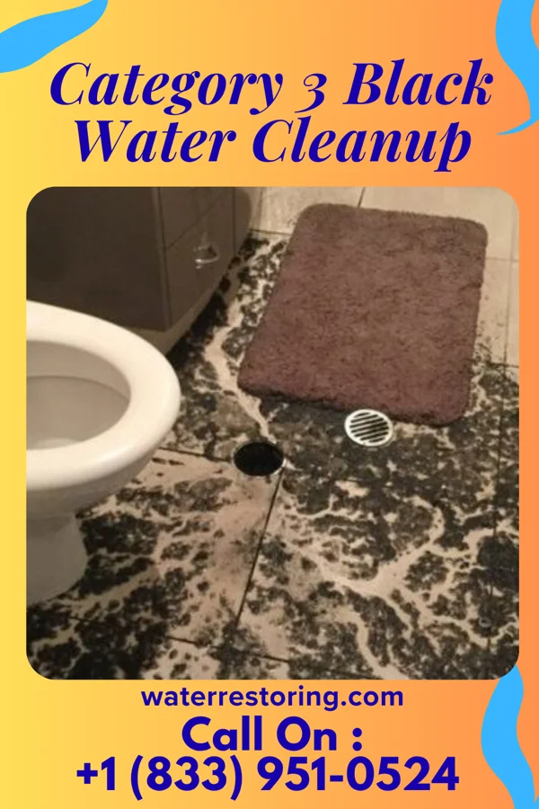 Category 3 Black Water Cleanup in Bradner, OH