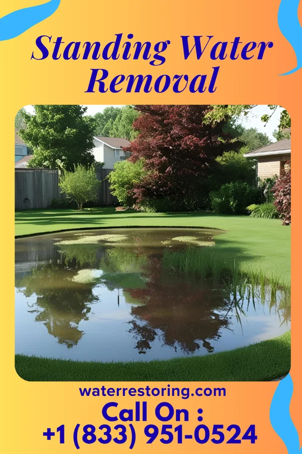 Standing Water Removal in Bradner, OH